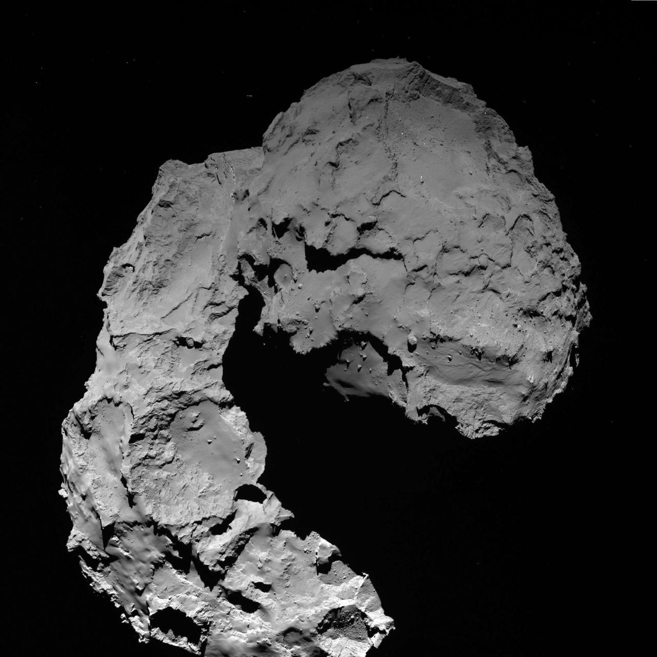 Rosetta